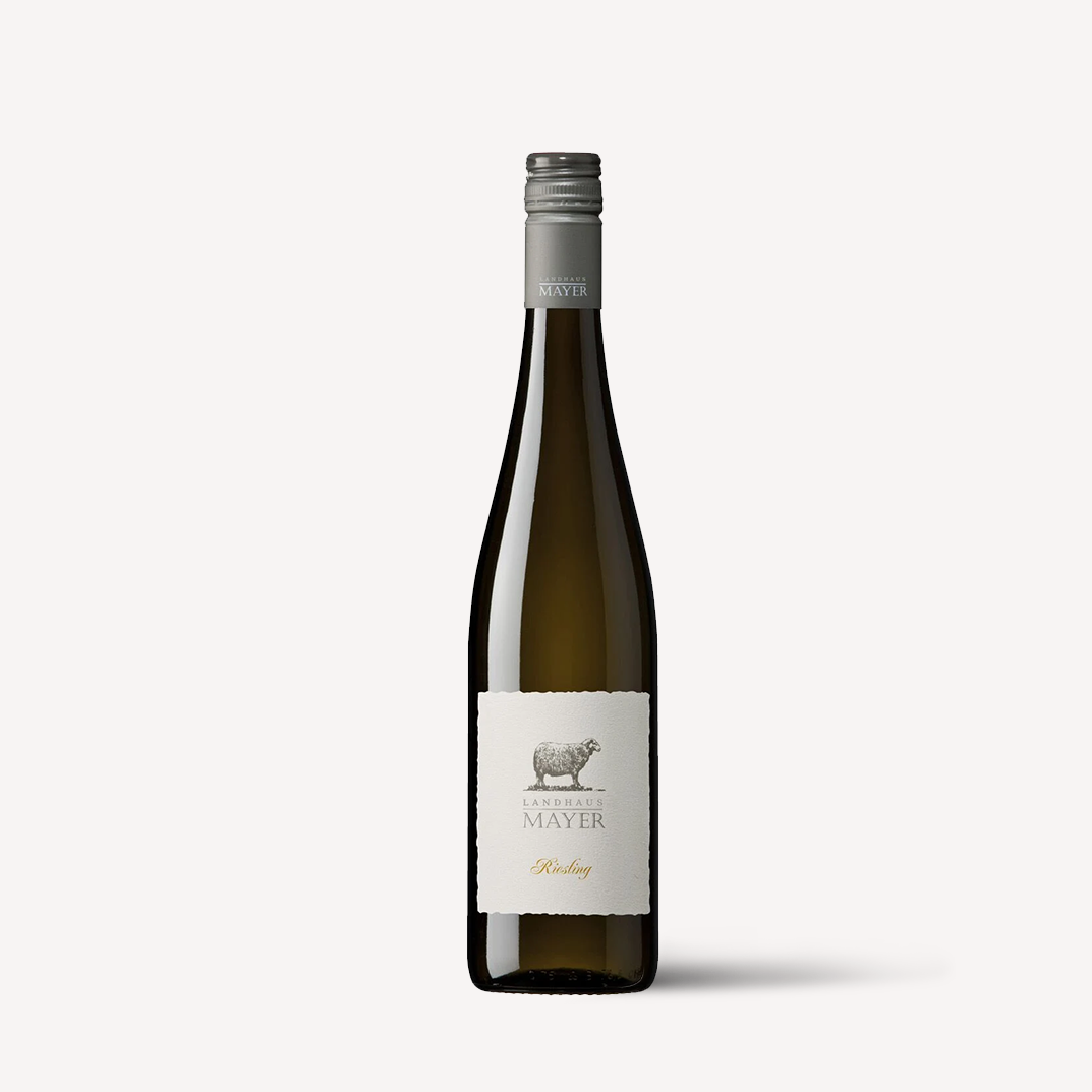Landhaus Mayer Riesling